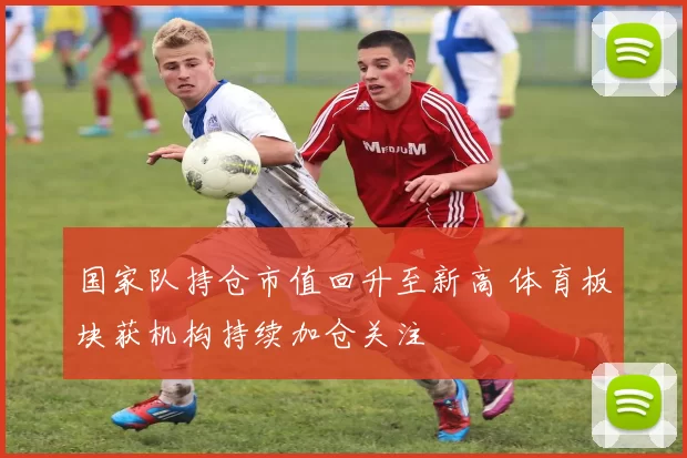 国家队持仓市值回升至新高 体育板块获机构持续加仓关注