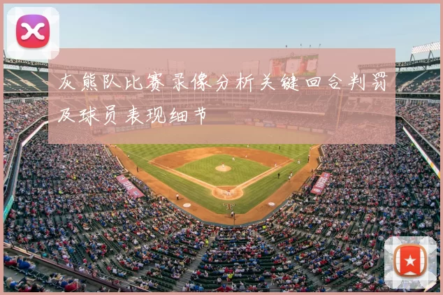 灰熊队比赛录像分析关键回合判罚及球员表现细节