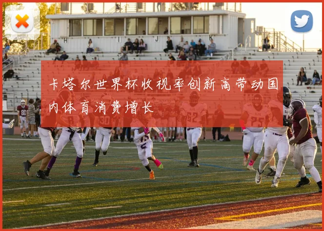 卡塔尔世界杯收视率创新高带动国内体育消费增长